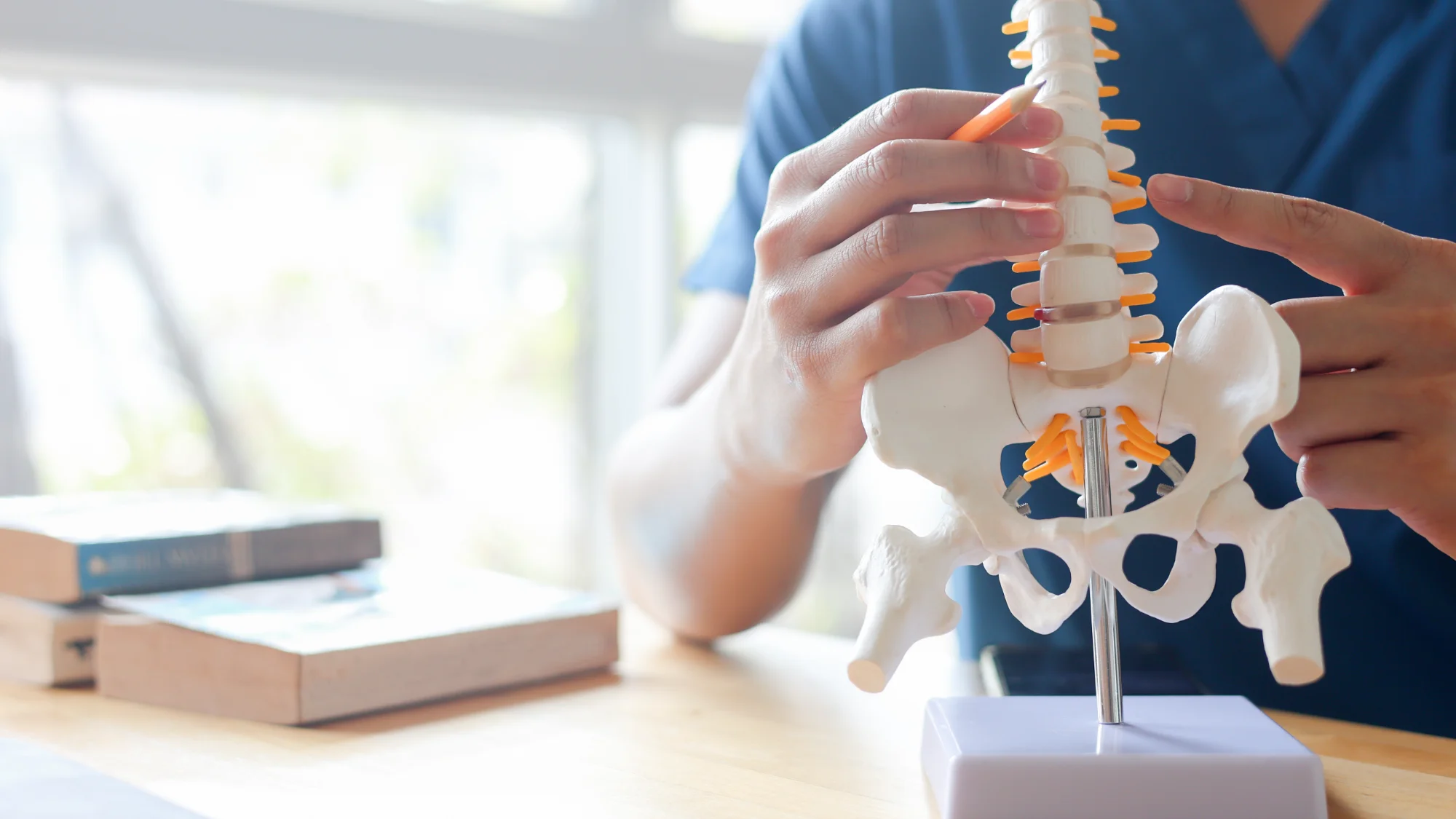A chiropractor in blue scrubs points at a model of the lower spine and pelvis.